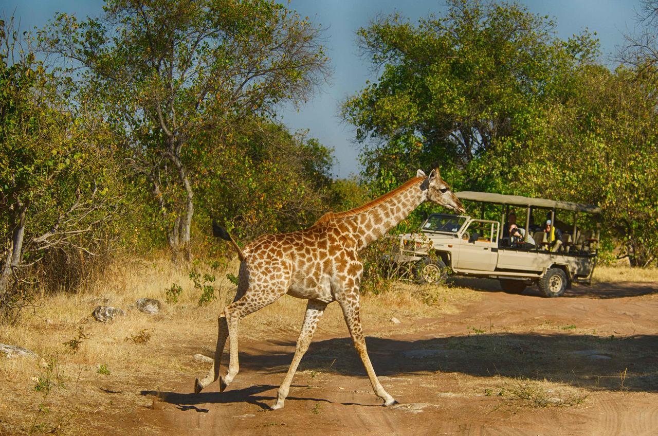 Tlouwana Camp Villa Kasane Eksteriør bilde